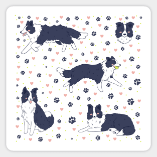 Cute border collies Sticker